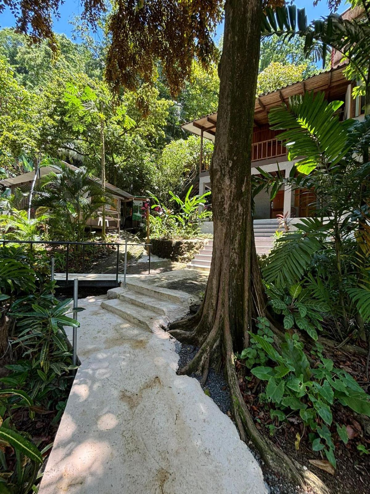דירות מונטזומה Casa Susen מראה חיצוני תמונה