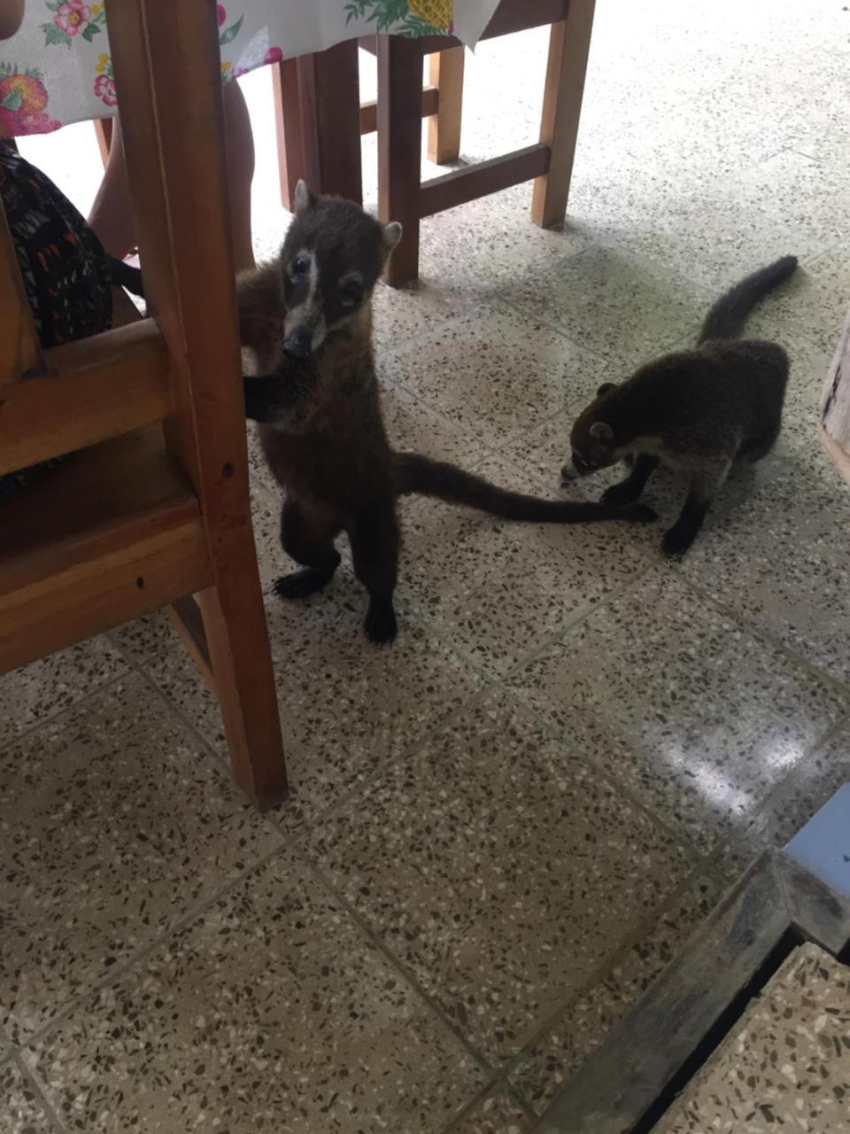 דירות מונטזומה Casa Susen מראה חיצוני תמונה